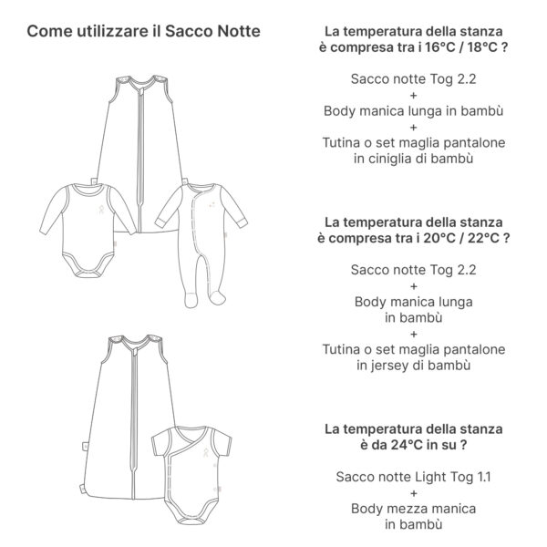 picci sacconotte